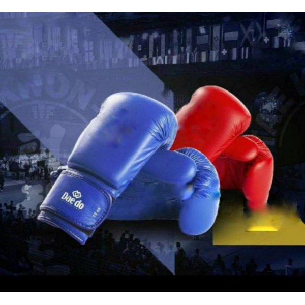 Боксерские перчатки ITF APPROVED GLOVES Daedo