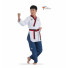 Форма для тхэквондо (добок) Daedo Poomsae Poom male Пхумсэ Пум  мужское